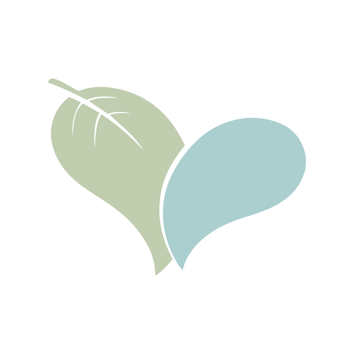 LIVE LOVE SPA Coupons and Promo Code